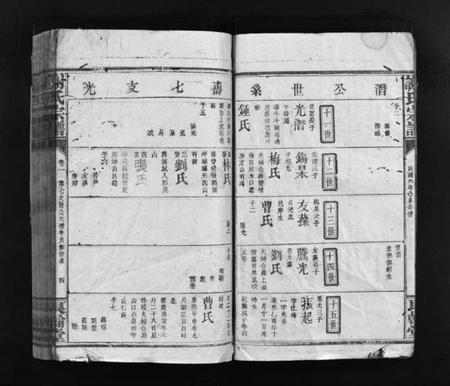 江西谢氏族谱-谢氏宗谱 [卷数杂异].pdf电子版插图5