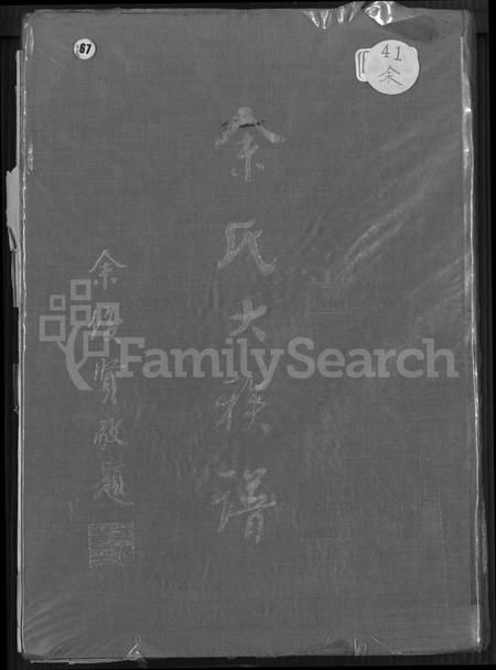 广东、福建余氏族谱-余氏大族谱 [不分卷].pdf电子版