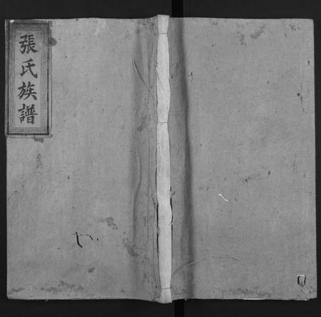 广东、福建张氏族谱-张氏族谱[总卷数不详].pdf电子版