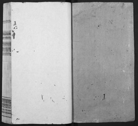 广东、福建张氏族谱-张氏族谱[总卷数不详].pdf电子版插图1