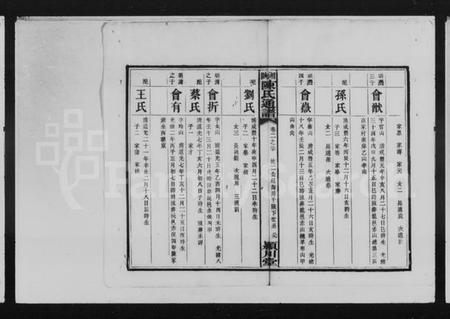 湖南陈氏族谱-湘陕陈氏通谱.pdf电子版预览图3 湖南陈氏族谱-湘陕陈氏通谱.pdf电子版预览图3