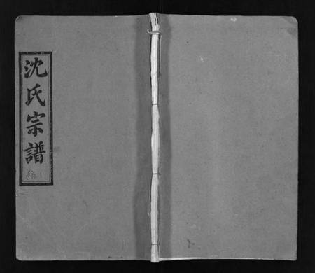 湖南沈氏族谱-沈氏宗谱 [43卷,首1卷].pdf电子版预览图1