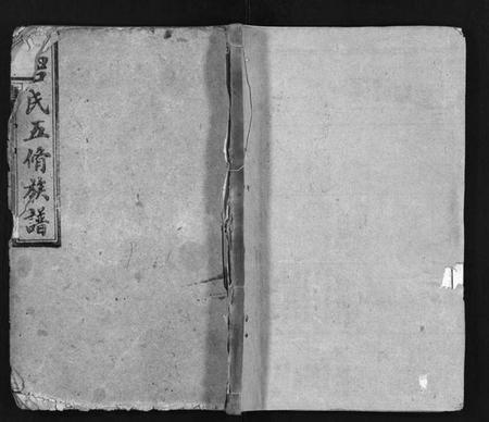 湖南唐氏族谱-唐氏五修族谱 [24卷].pdf电子版预览图