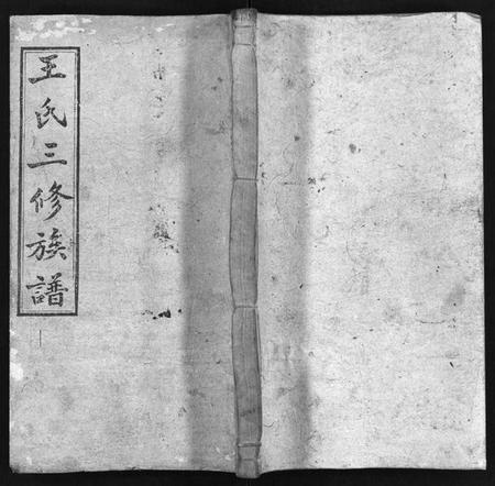 湖南王氏族谱-邵湘王氏三修族谱 [10卷,首上下].pdf电子版预览图