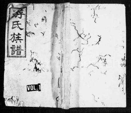 湖南游氏族谱-游氏族谱 [前编10卷,及卷首末,後编28卷].pdf电子版