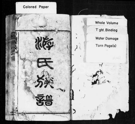 湖南游氏族谱-游氏族谱 [前编10卷,及卷首末,後编28卷].pdf电子版预览图1