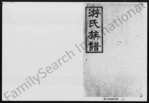 湖南游氏族谱-游氏续修族谱 [前编10卷,後编28卷,首末各1卷].pdf电子版缩略图