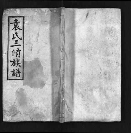 湖南袁氏族谱-袁氏三修族谱[11卷,首6卷].pdf电子版预览图