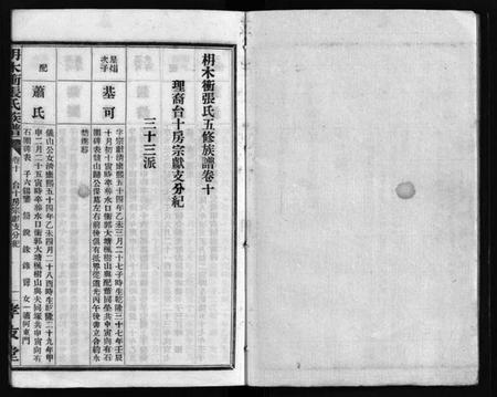 湖南张氏族谱-枏木冲张氏族谱 [24卷,首1卷].pdf电子版预览图1