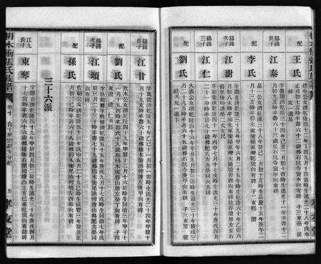 湖南张氏族谱-枏木冲张氏族谱 [24卷,首1卷].pdf电子版预览图5