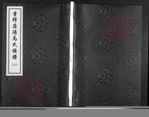 山东省聊城市茌平区马氏族谱-重修茌阳马氏族谱.pdf电子版缩略图